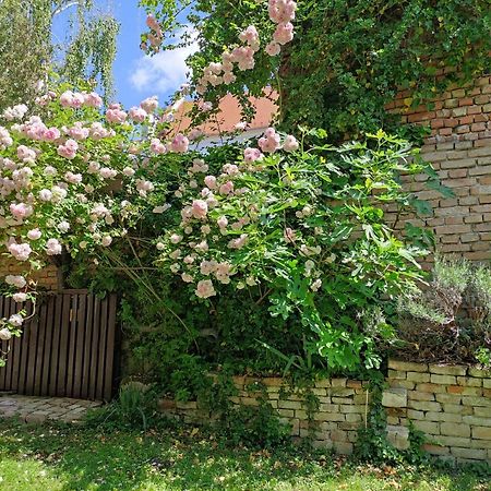 Patak28 Apartmanok Sopron Exteriör bild